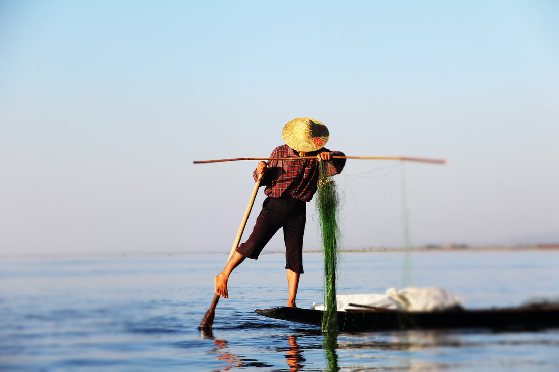 From Seaspiracy To Seaspira-See